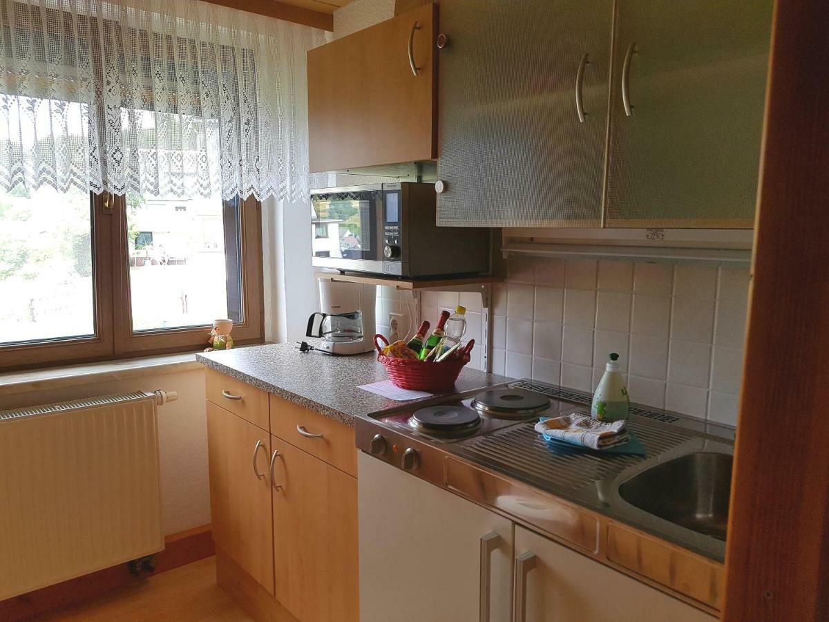 Ferienwohnung Berndt Schwarzatal Экстерьер фото